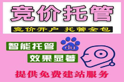 托管SEM竞价案例：揭秘高效推广秘籍